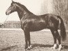 stallion Que d'Espoir (Selle Français, 1960, from Ibrahim AN)