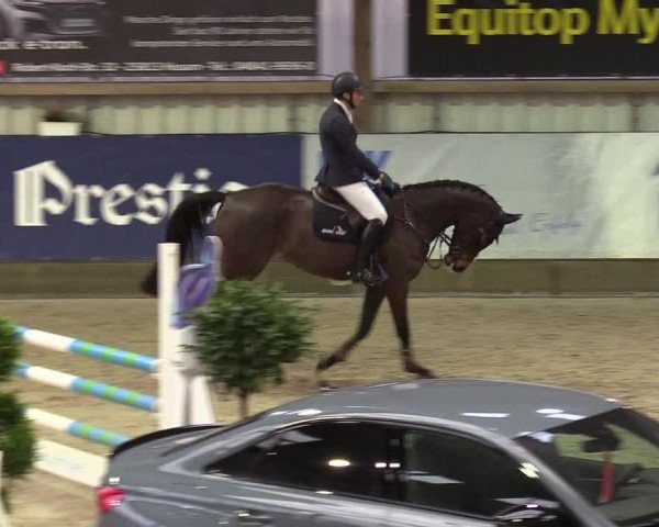 7. Nordic Jumping Event in Negernbötel 2022