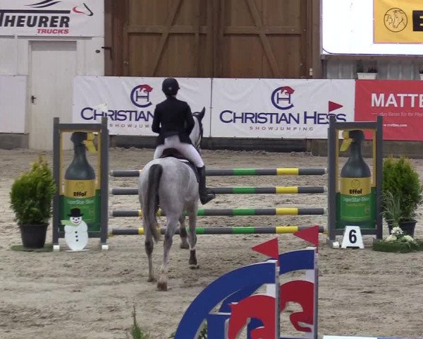 7. Nordic Jumping Event in Negernbötel 2022