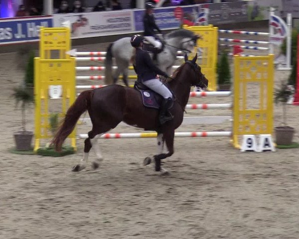 7. Nordic Jumping Event in Negernbötel 2022
