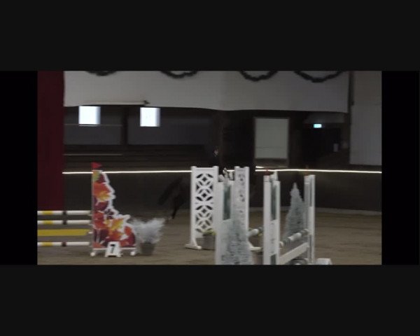 Video von Lady Royal Cleopatra