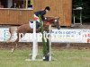 jumper Alissa 36 (German Riding Pony, 2000, from Amarillys Sensation D)