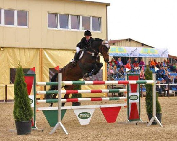 broodmare Bella du Rouet (Oldenburg, 2006, from Balou du Rouet)