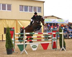 broodmare Bella du Rouet (Oldenburg, 2006, from Balou du Rouet)