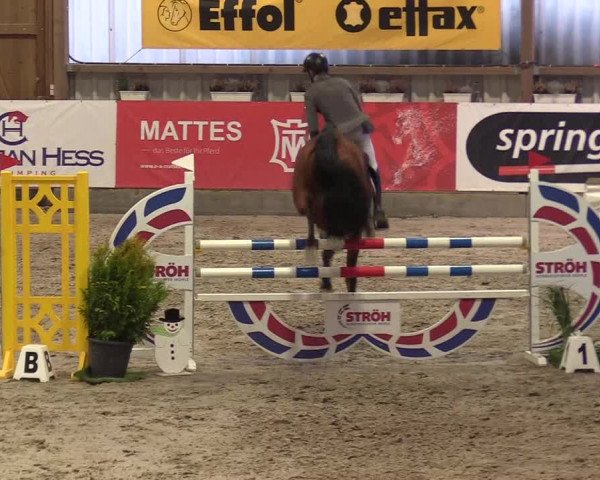 7. Nordic Jumping Event in Negernbötel 2022