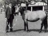 broodmare Cashel Kate (Connemara Pony, 1956, from Tully Lad)
