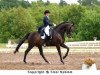 dressage horse Ravell (Swedish Warmblood, 1994, from Bernstein)