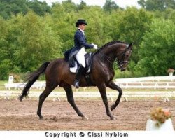 dressage horse Ravell (Swedish Warmblood, 1994, from Bernstein)