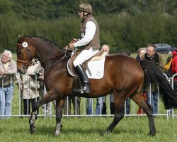 broodmare Griseldis (Senner horse, 2001, from Rio Grande xx)