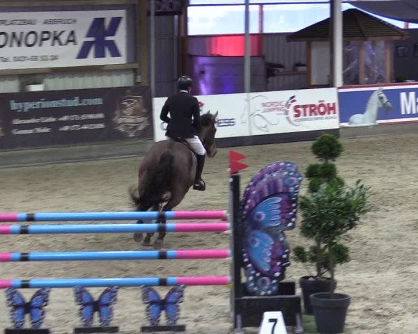 7. Nordic Jumping Event in Negernbötel 2022