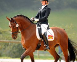 dressage horse All Inclusive (Zweibrücken, 2009, from Almati)