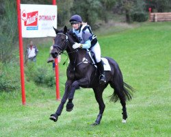 broodmare Cara Feliz (Trakehner, 2004, from Heraldik xx)