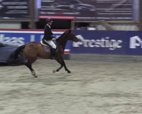 7. Nordic Jumping Event in Negernbötel 2022