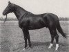 stallion Elkadi II (Trakehner, 1983, from Trafaret)