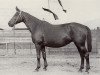 broodmare Melisse (Trakehner, 1936, from Hydrant)