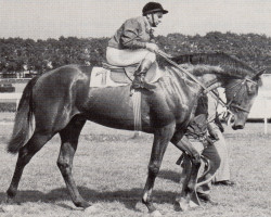 stallion Swazi xx (Thoroughbred, 1973, from Herero xx)