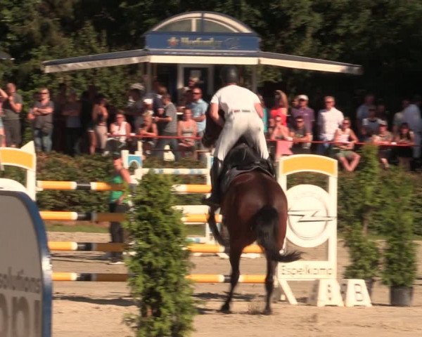 Reitturnier Vlotho-Exter 2018