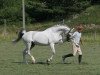 horse Acorn (Holsteiner, 1994, from Acord II)