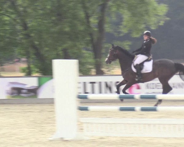 Reitturnier Wietmarschen 2018