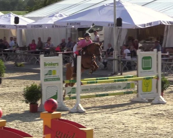 Reitturnier Wietmarschen 2018