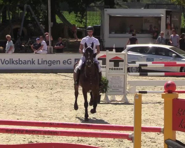 Reitturnier Wietmarschen 2018