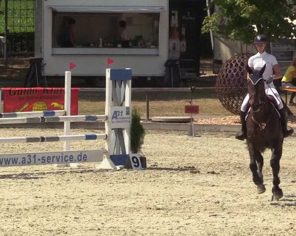 Reitturnier Wietmarschen 2018
