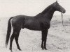stallion Blaubart xx (Thoroughbred, 1966, from Bürgermeister xx)