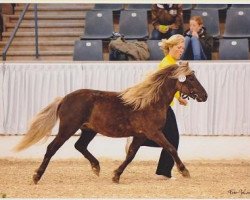 horse Jolly Grey von Clus (German Classic Pony, 2007, from Jabolo)