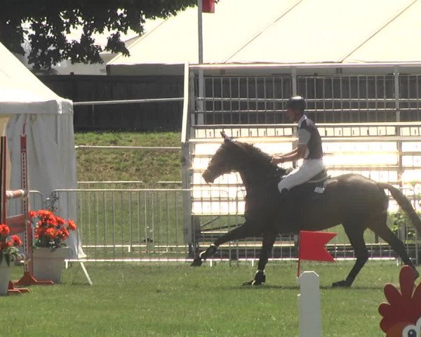 Reitturnier Nördlingen 2018