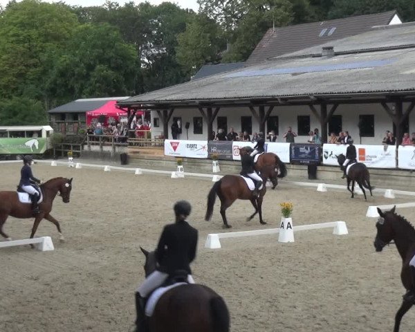 Reitsport Festival am Gut Jagenberg - Solingen 2021