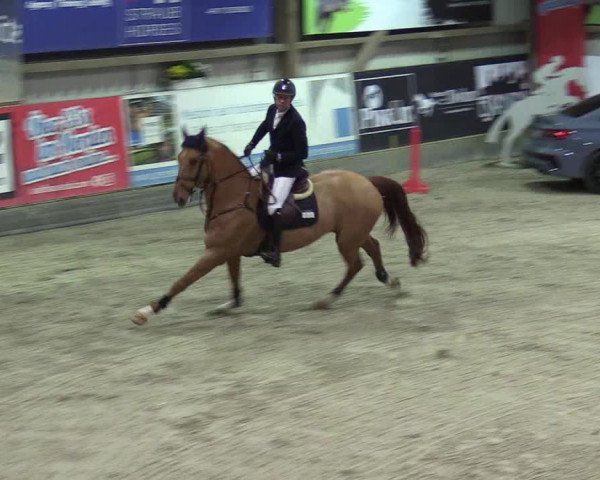 7. Nordic Jumping Event in Negernbötel 2022