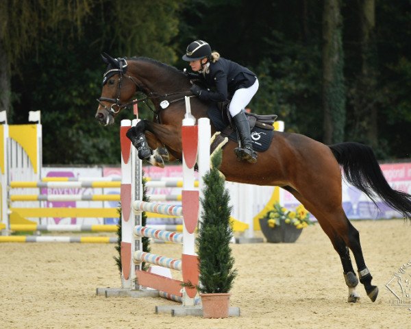 jumper Chandani (unknown, 2015, from Cristallo I)