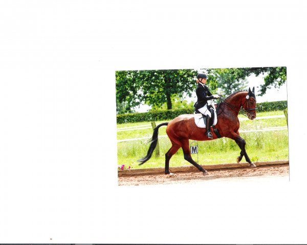 dressage horse Wakara (Oldenburg, 2003, from Lord Laptop)