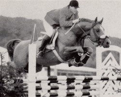 Deckhengst Heimherr (Trakehner, 1973, von Cesar)