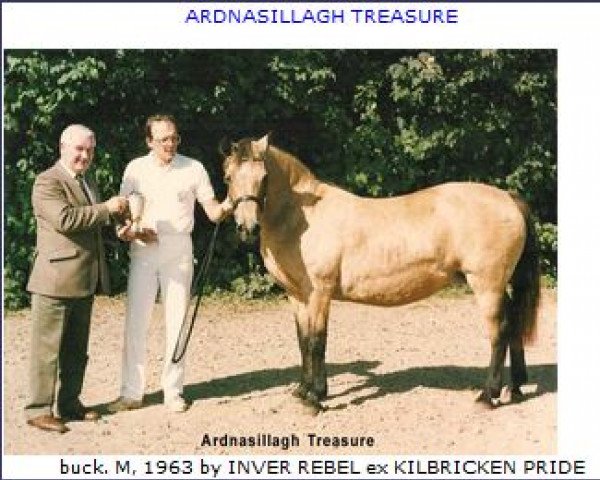 Zuchtstute Ardnasillagh Treasure (Connemara-Pony, 1963, von Inver Rebel)
