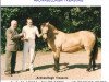 Zuchtstute Ardnasillagh Treasure (Connemara-Pony, 1963, von Inver Rebel)