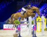 stallion Billy King (Oldenburg show jumper, 2003, from Baloubet du Rouet)