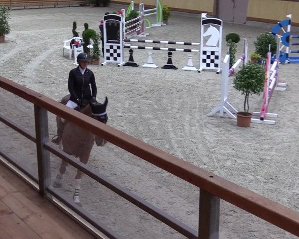 Reitturnier Hamburg-Friedrichshulde/Sylva Kuhrt 2022