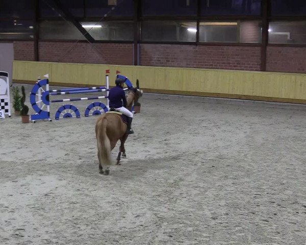 Reitturnier Hamburg-Friedrichshulde/Sylva Kuhrt 2022