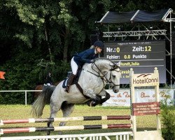 jumper Cavalco (Bulgarian Warmblood, 2011, from Cavalho JHX)