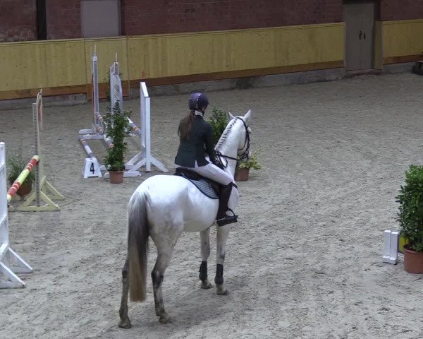 Reitturnier Hamburg-Friedrichshulde/Sylva Kuhrt 2022