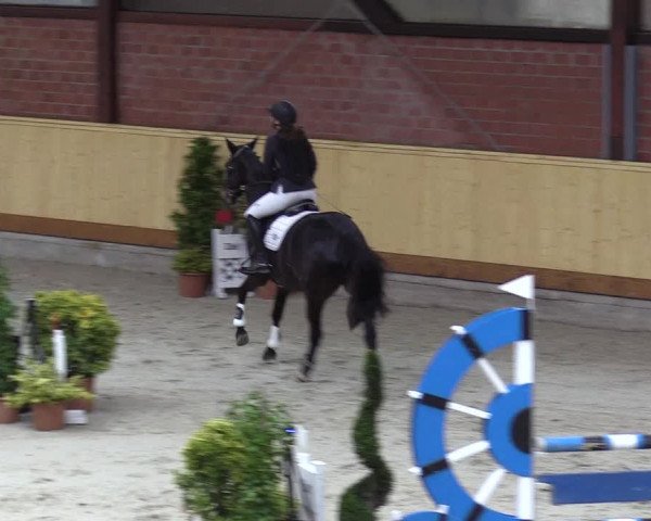 Reitturnier Hamburg-Friedrichshulde/Sylva Kuhrt 2022