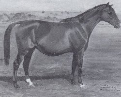 broodmare Linda VI (Trakehner, 1937, from Ararad)