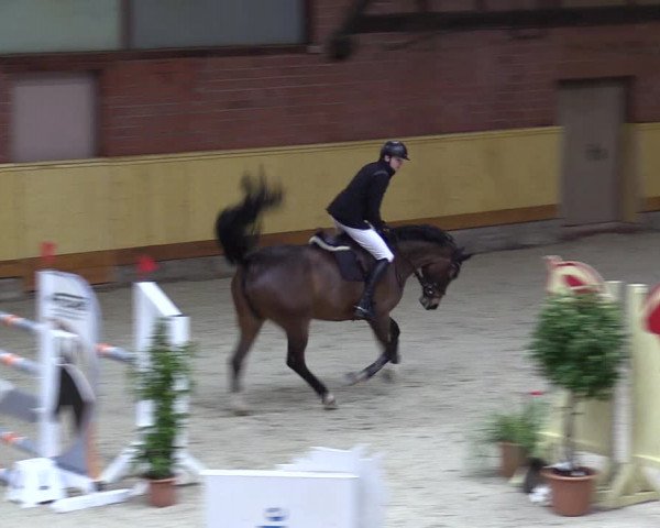 Reitturnier Hamburg-Friedrichshulde/Sylva Kuhrt 2022