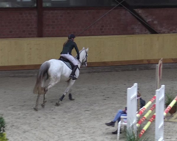Reitturnier Hamburg-Friedrichshulde/Sylva Kuhrt 2022