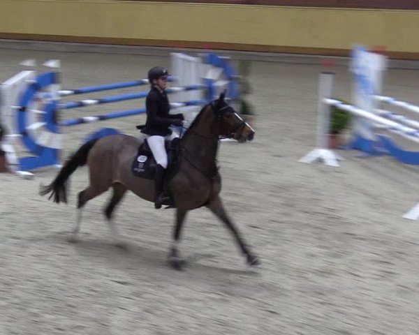 Reitturnier Hamburg-Friedrichshulde/Sylva Kuhrt 2022