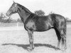 stallion Reinald xx (Thoroughbred, 1943, from Aventin xx)