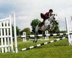 broodmare Clonemare June (Connemara Pony, 1984, from Earl of Doon)