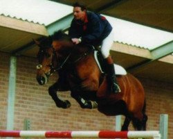 stallion Optimist (KWPN (Royal Dutch Sporthorse), 1996, from Kojak)