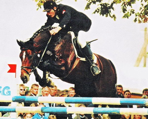 stallion Zorro T (Oldenburg, 1990, from Zeus)